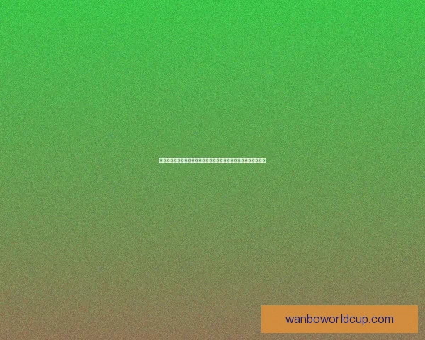 世界杯竞猜网站推荐与安全投注指南全面解析新手老手必看攻略大全