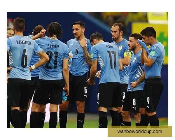 世界杯竞猜赔率查询全攻略实时数据分析与投注技巧全面解析指南